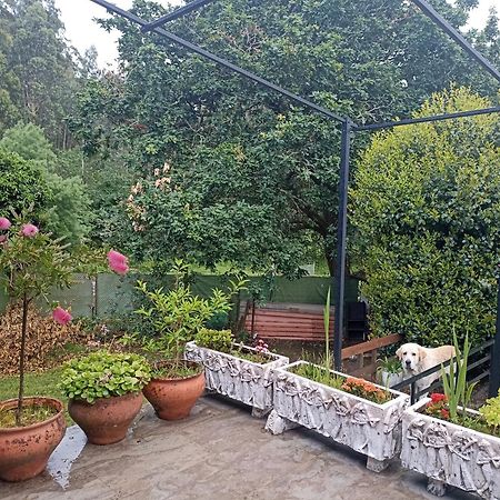 Cabana Monte Do Castro Porto do Son Dış mekan fotoğraf