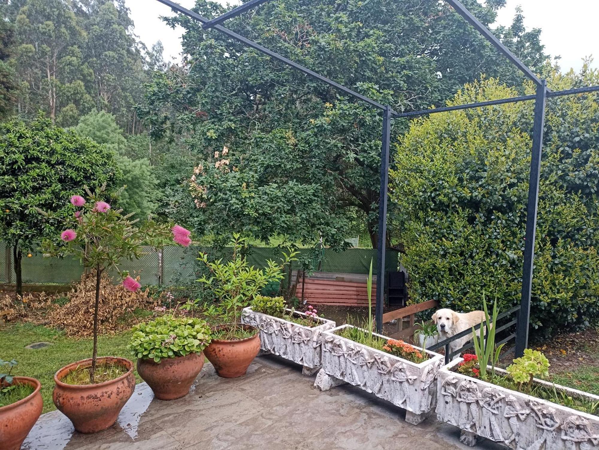Cabana Monte Do Castro Porto do Son Dış mekan fotoğraf